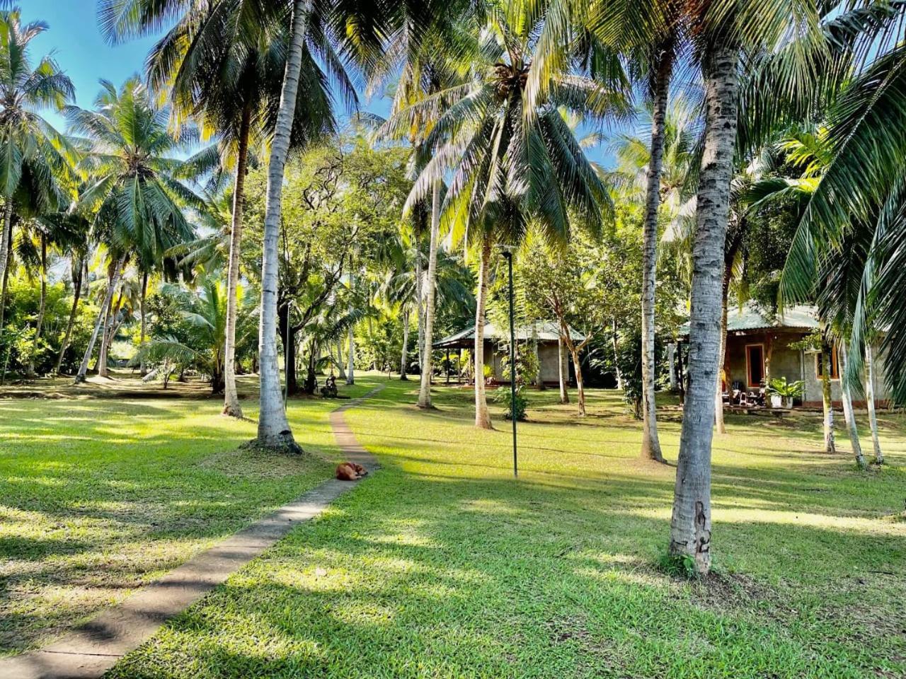 Udawalawa Safari Resort Udawalawe Exterior foto